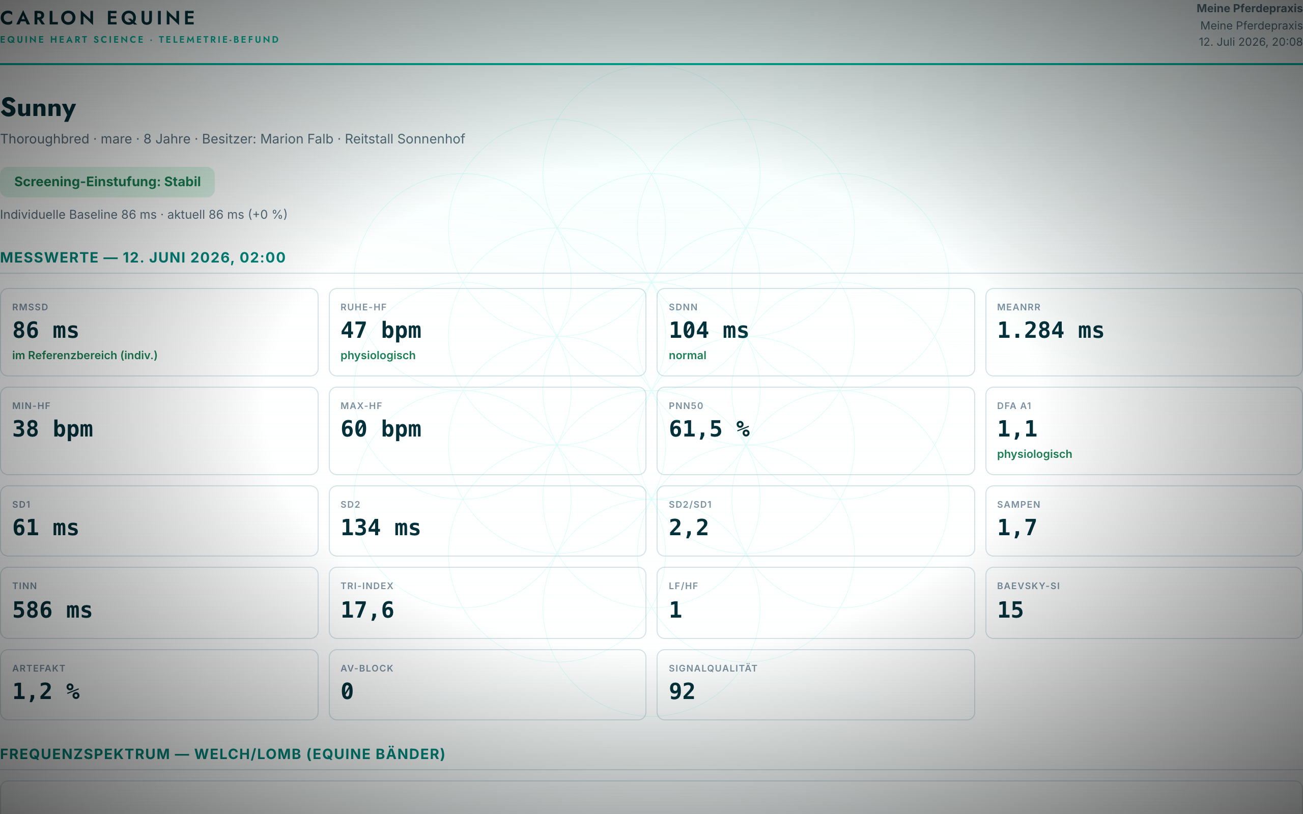CARLON Clinic — Befund-PDF